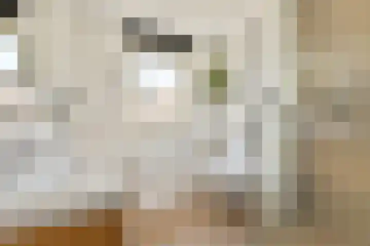 Sterduinstraat 31 Almere thumbnail 26
