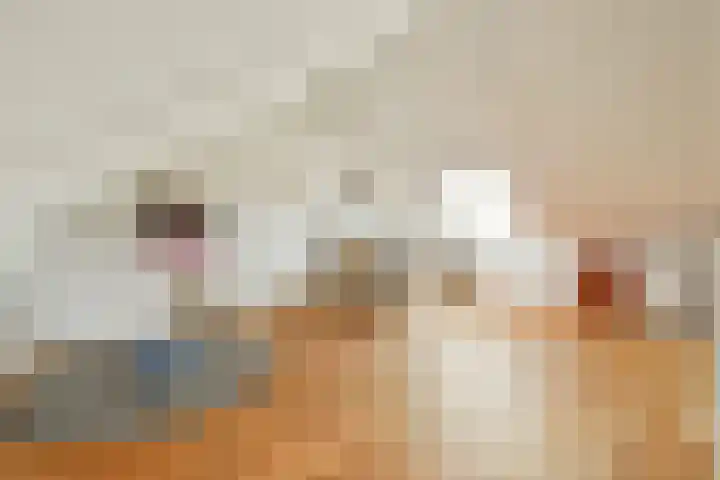 Sterduinstraat 31 Almere thumbnail 33