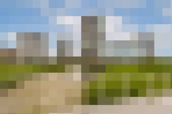 Sterduinstraat 31 Almere thumbnail 40