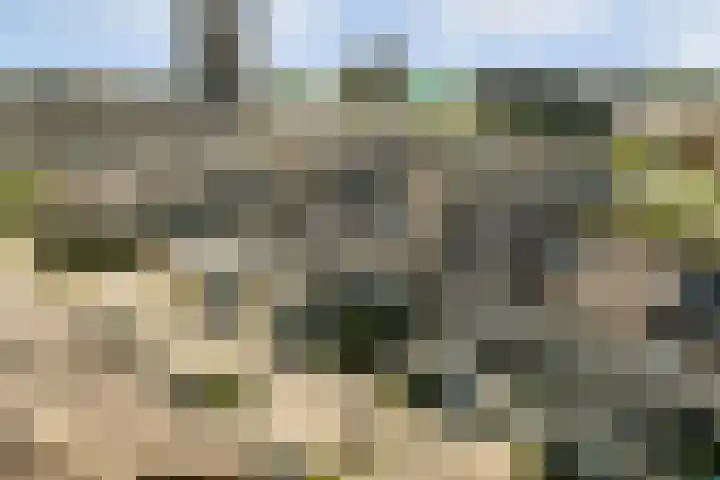 Sterduinstraat 31 Almere thumbnail 41