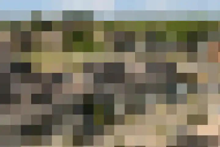 Sterduinstraat 31 Almere thumbnail 42