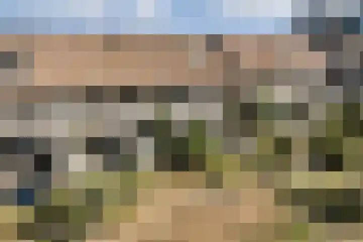 Sterduinstraat 31 Almere thumbnail 43