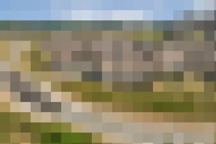 Sterduinstraat 31 Almere thumbnail 44