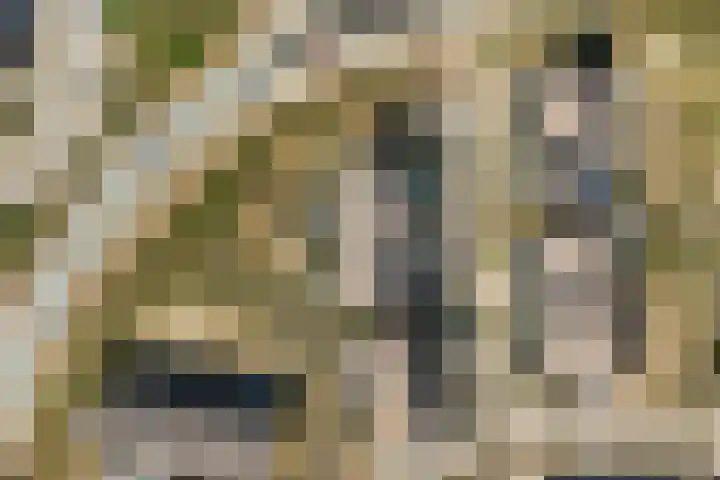 Sterduinstraat 31 Almere thumbnail 45