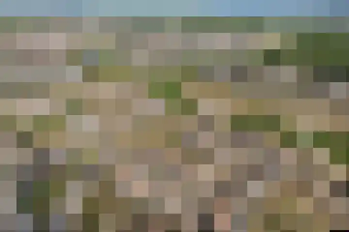 Sterduinstraat 31 Almere thumbnail 46