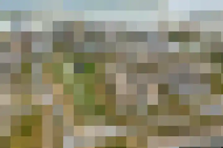 Sterduinstraat 31 Almere thumbnail 47