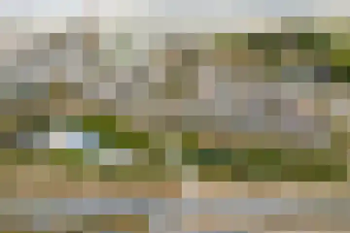 Sterduinstraat 31 Almere thumbnail 48