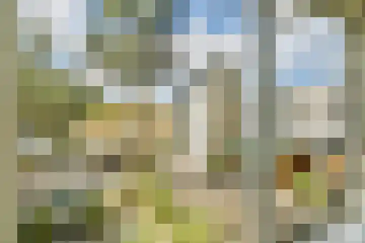 Sterduinstraat 31 Almere thumbnail 5