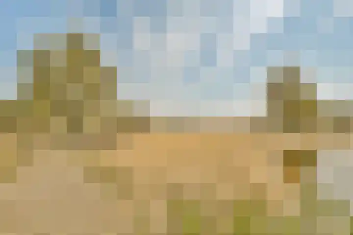 Sterduinstraat 31 Almere thumbnail 51