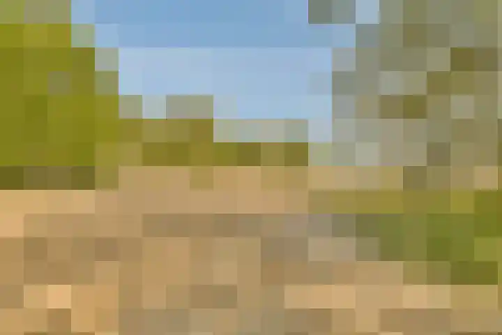 Sterduinstraat 31 Almere thumbnail 52