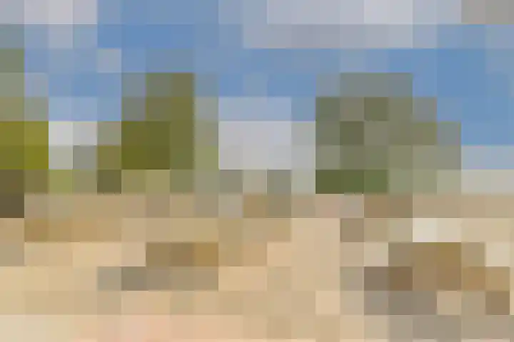 Sterduinstraat 31 Almere thumbnail 53
