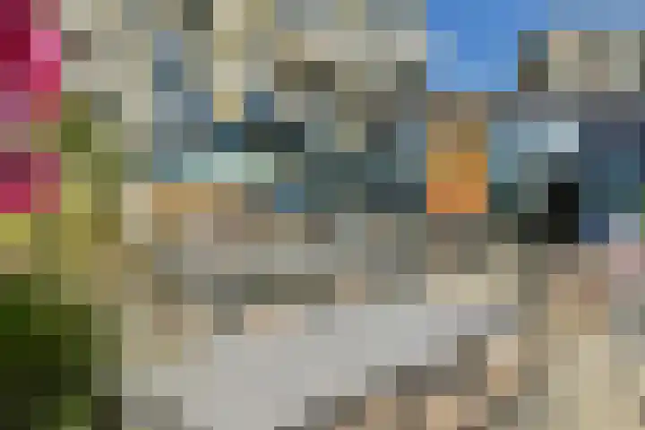 Sterduinstraat 31 Almere thumbnail 54