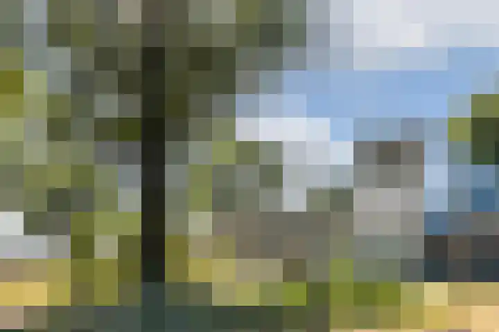 Sterduinstraat 31 Almere thumbnail 55