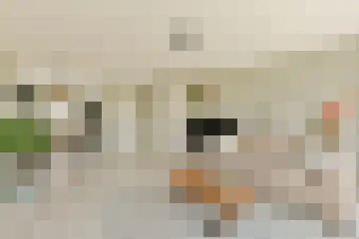 Sterduinstraat 31 Almere thumbnail 6