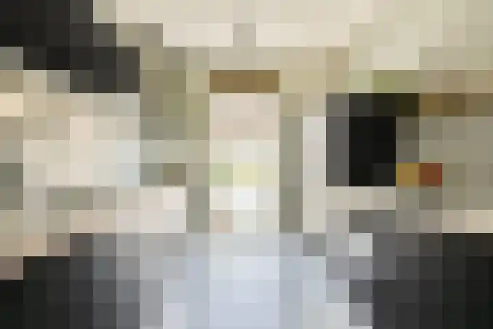 Sterduinstraat 31 Almere thumbnail 9