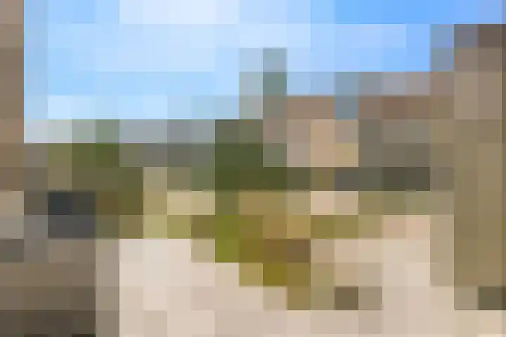 Sterduinstraat 64 Almere thumbnail 10