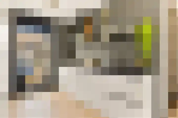 Sterduinstraat 64 Almere thumbnail 16