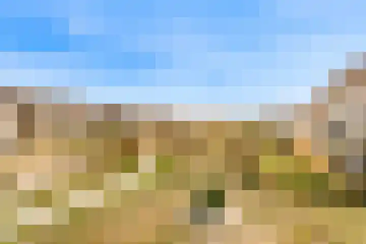 Sterduinstraat 64 Almere thumbnail 33