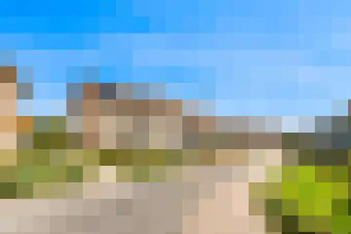 Sterduinstraat 64 Almere thumbnail 34