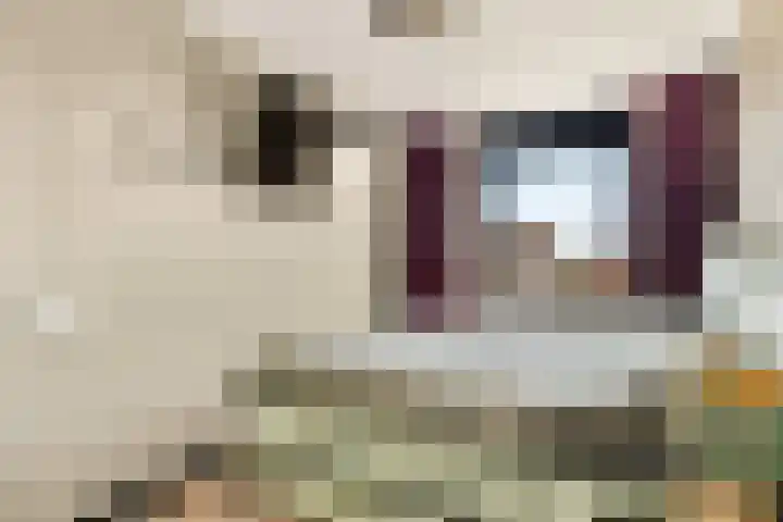 Sterduinstraat 64 Almere thumbnail 41