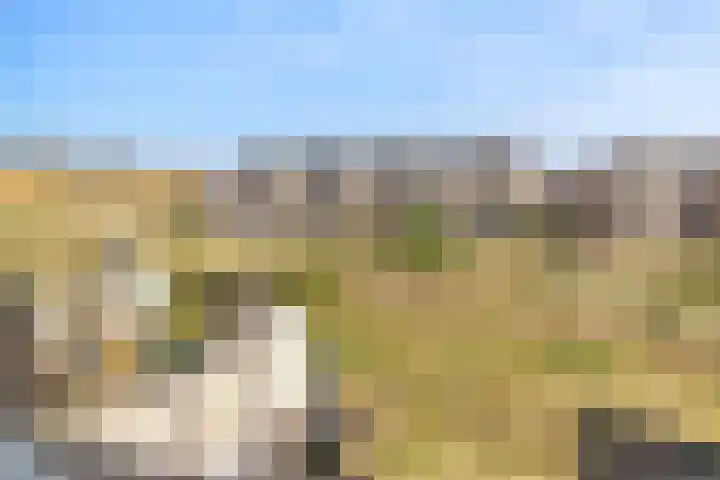 Sterduinstraat 64 Almere thumbnail 47