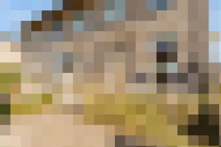 Sterduinstraat 64 Almere thumbnail 8
