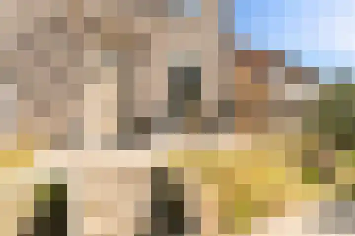 Sterduinstraat 64 Almere thumbnail 9