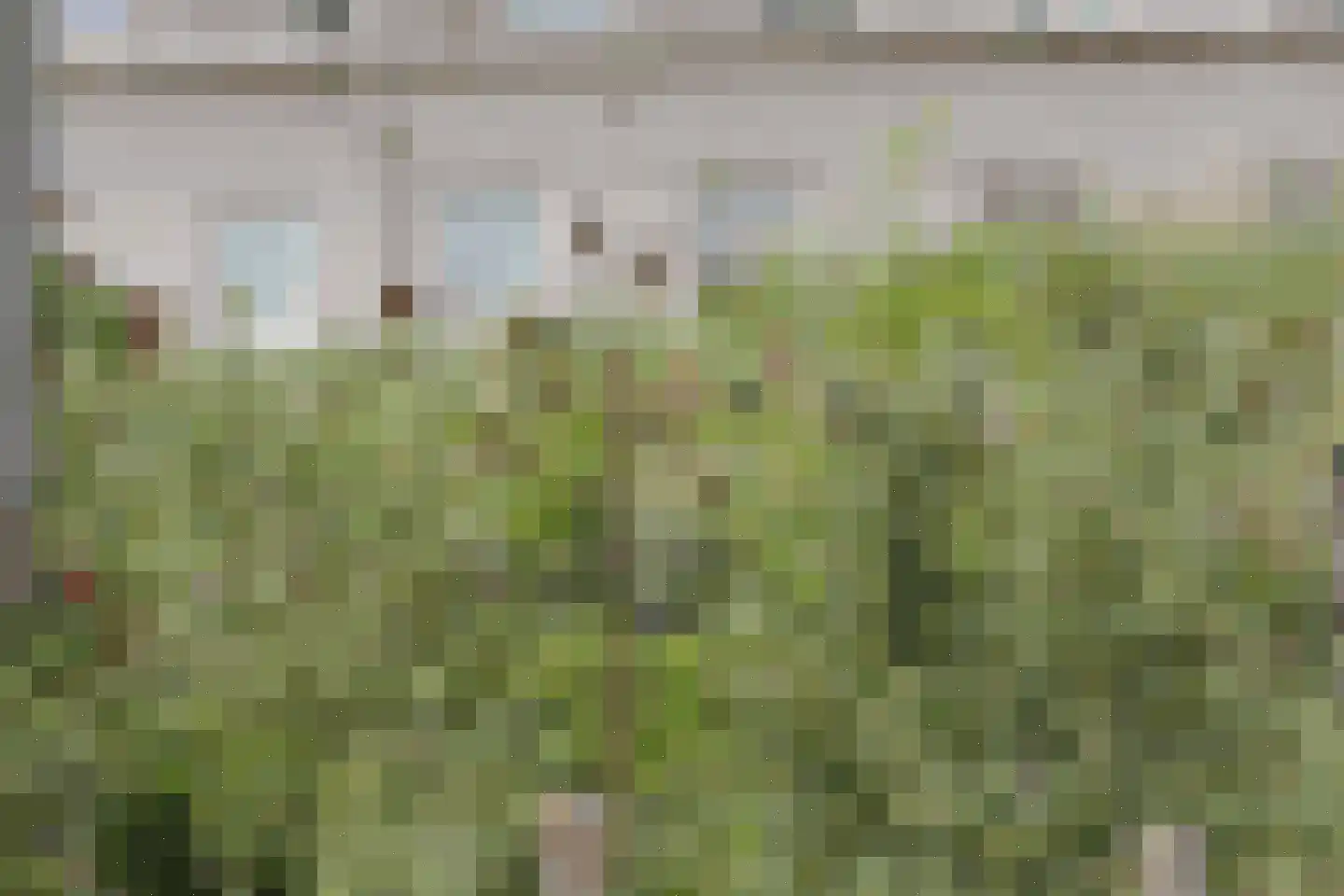 Sterduinstraat 71 Almere thumbnail 13