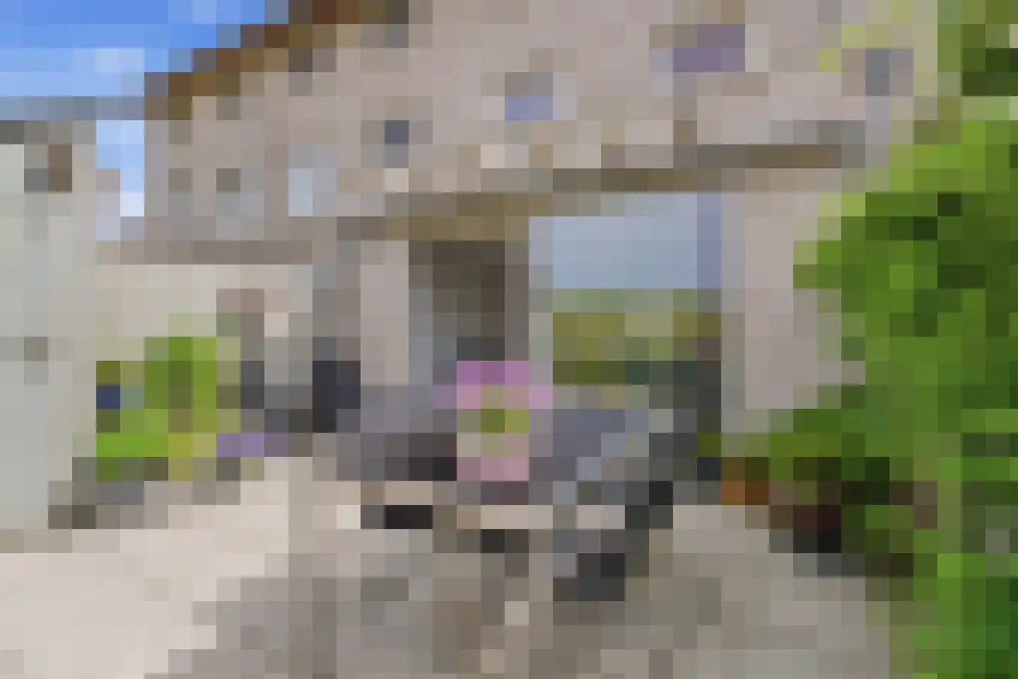 Sterduinstraat 71 Almere thumbnail 9