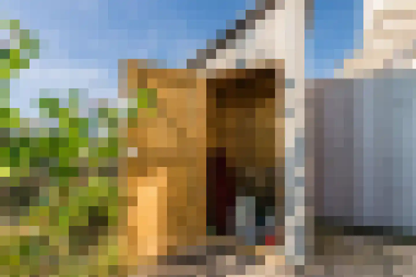 Sterduinstraat 99 Almere thumbnail 53