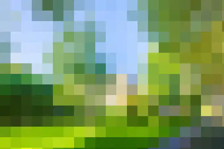 Stereoplein 24 IJsselstein thumbnail 34