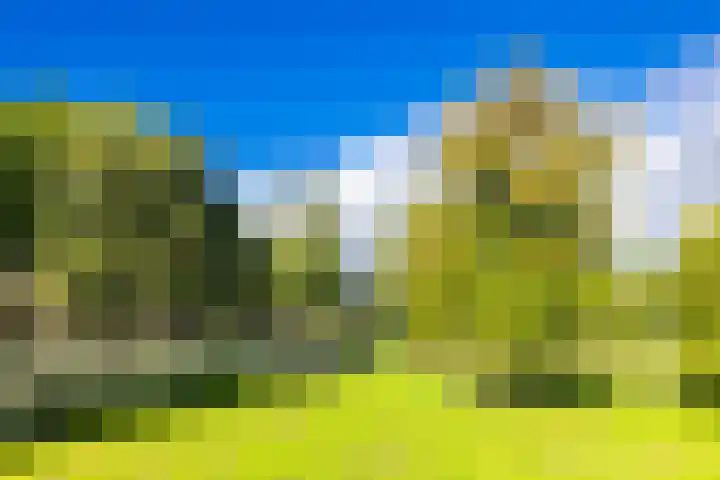 Stereoplein 24 IJsselstein thumbnail 46