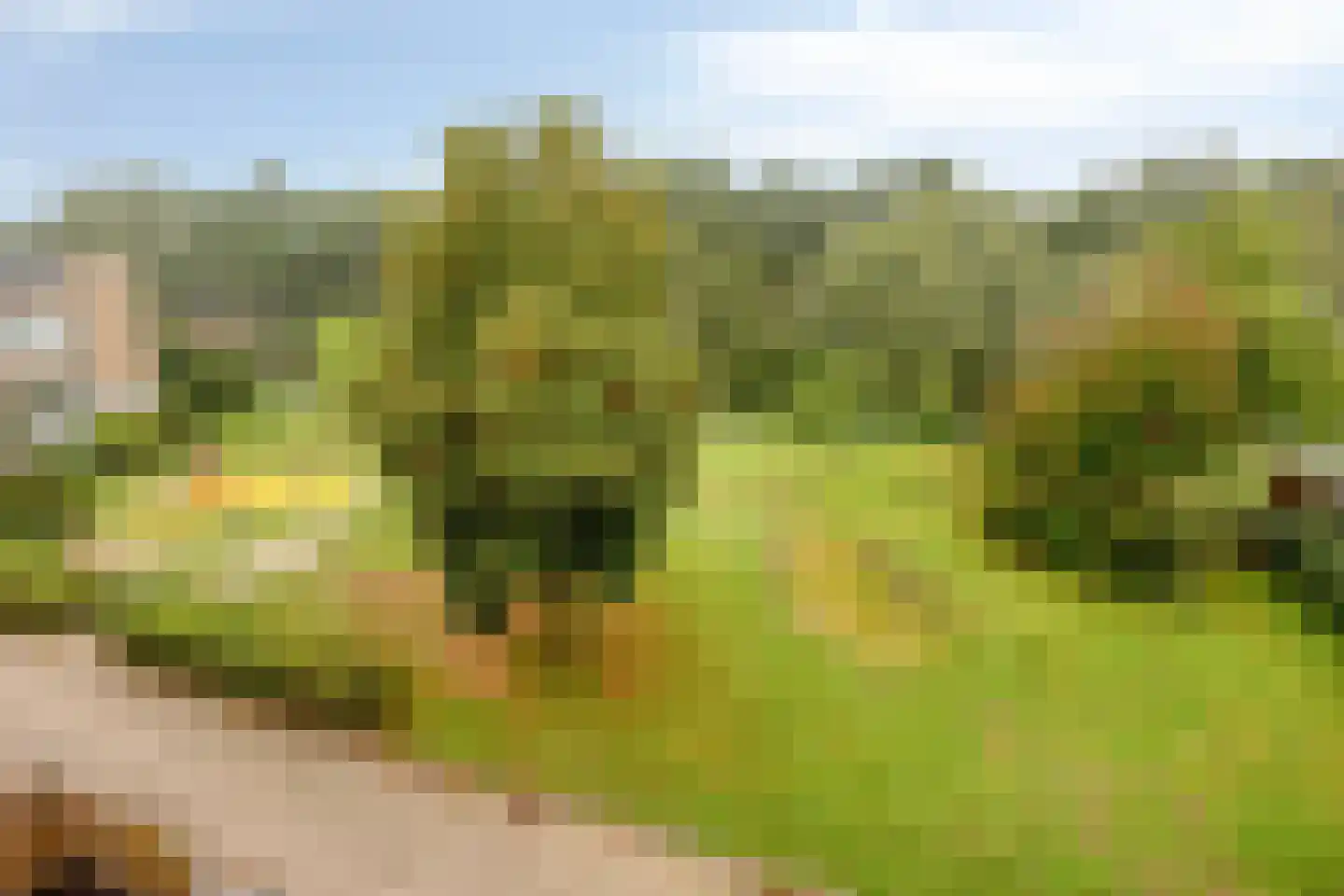 Stereoplein 29 IJsselstein thumbnail 25