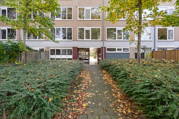 Stereoplein 39 IJsselstein thumbnail 6
