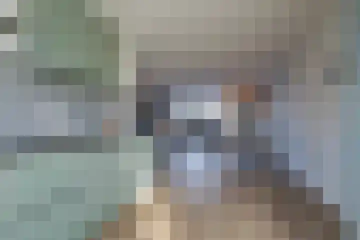 Sterhyacint 13 Twello thumbnail 11