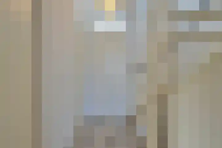 Sterhyacint 13 Twello thumbnail 12