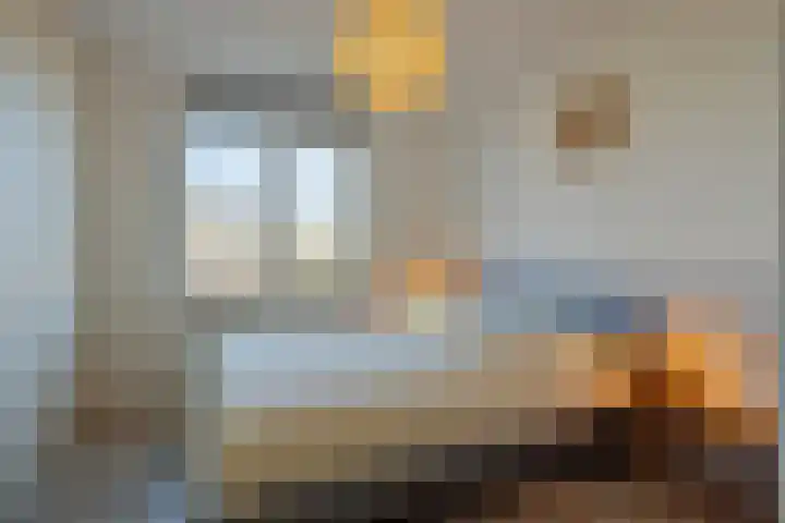 Sterhyacint 13 Twello thumbnail 13