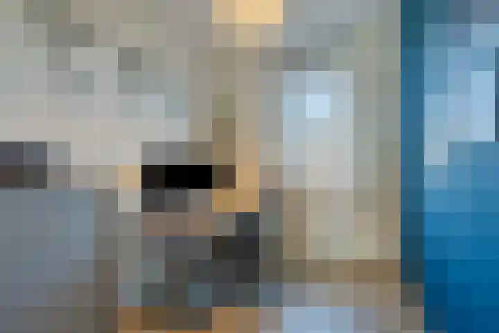 Sterhyacint 13 Twello thumbnail 18
