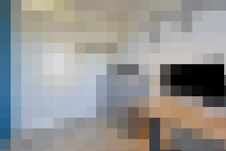 Sterhyacint 13 Twello thumbnail 19