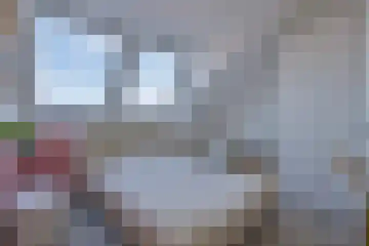 Sterhyacint 13 Twello thumbnail 24