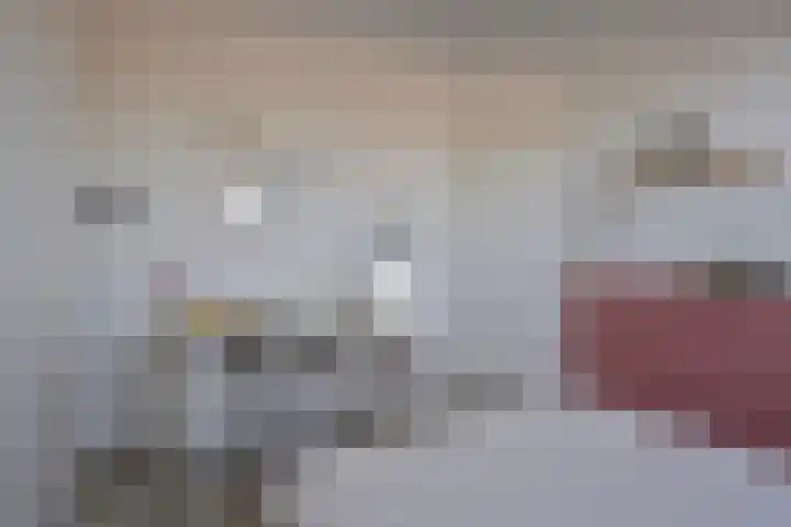 Sterhyacint 13 Twello thumbnail 25