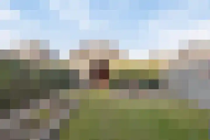 Sterhyacint 13 Twello thumbnail 26