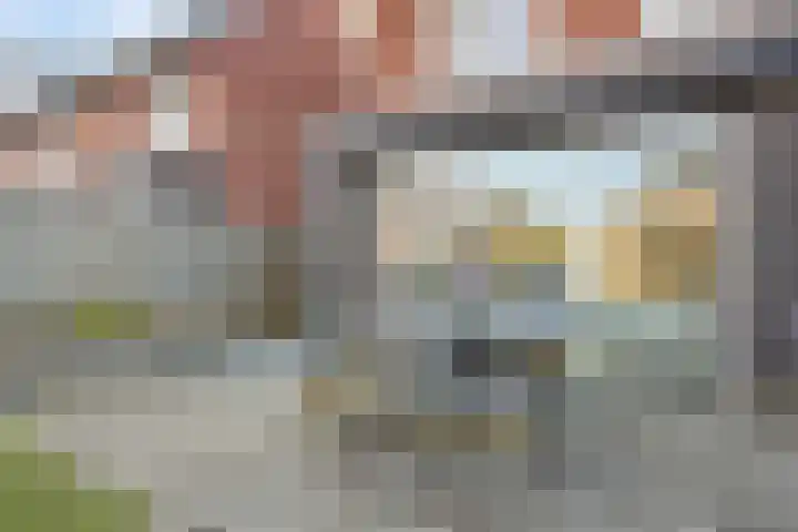 Sterhyacint 13 Twello thumbnail 27