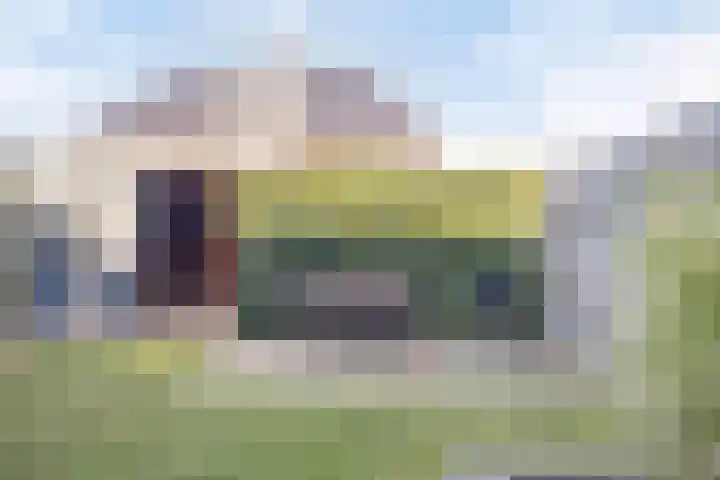 Sterhyacint 13 Twello thumbnail 28