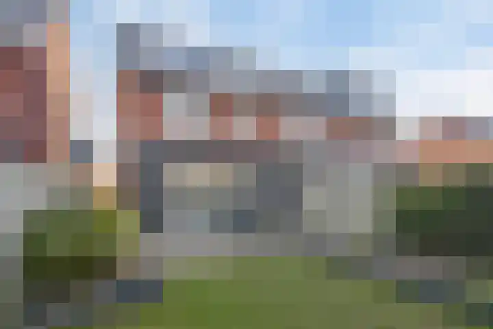 Sterhyacint 13 Twello thumbnail 29