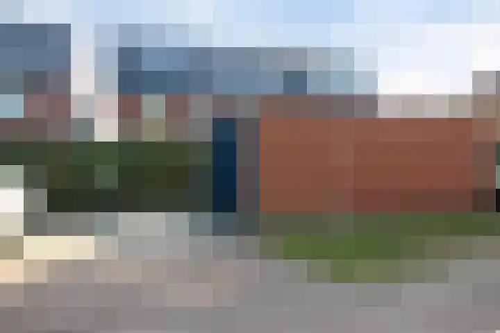 Sterhyacint 13 Twello thumbnail 30