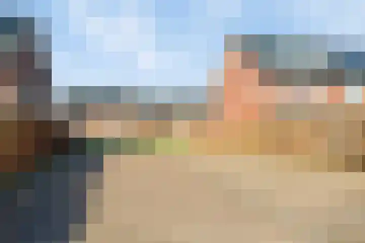 Sterhyacint 13 Twello thumbnail 31