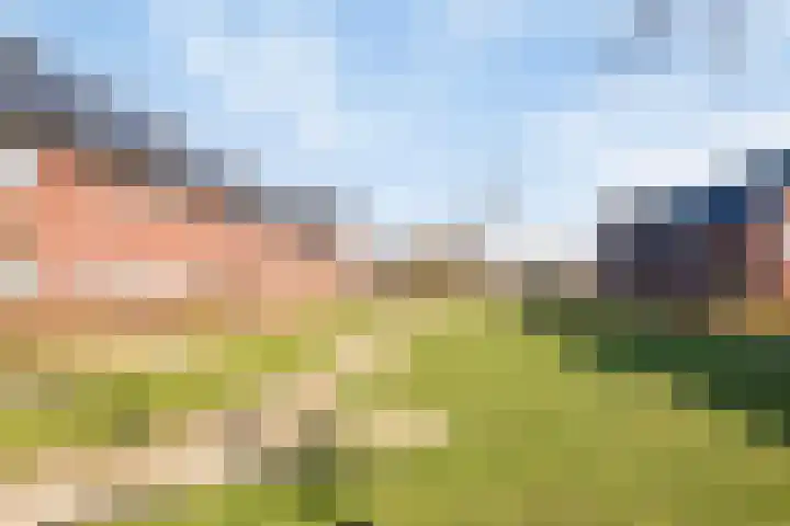 Sterhyacint 13 Twello thumbnail 32
