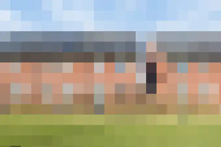 Sterhyacint 13 Twello thumbnail 33