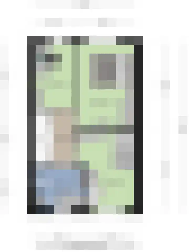 Sterhyacint 13 Twello thumbnail 35
